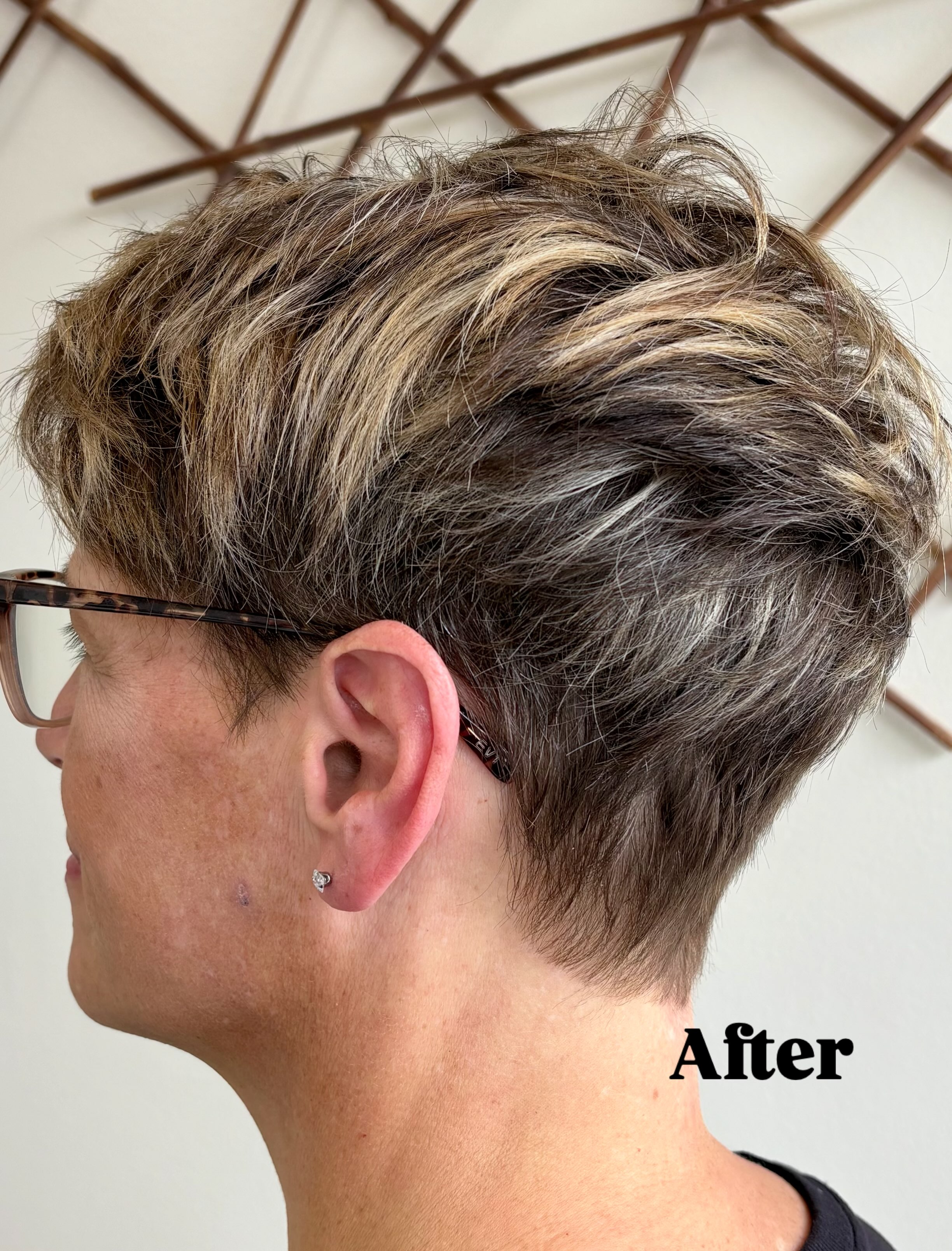 Sometimes a few highlights and lowlights are all it takes to bring a short haircut to life ✨

A little dimension, a little contrast, and suddenly those layers have so much more movement and definition. Simple, dimensional, and perfectly lived-in. 🤎 #hairbydawncohan #nilesmihairstylist